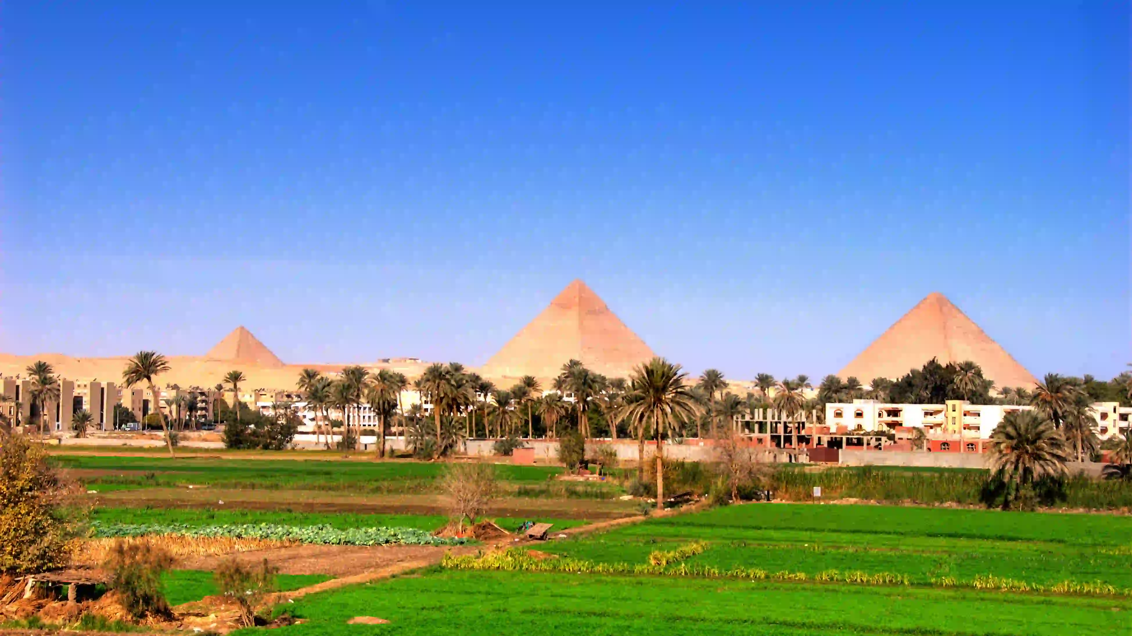Giza Pyramids , Egypt travel booking (69)